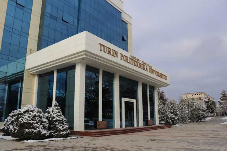 Высшее образование в IT: обзор на Туринский политехнический университет в Ташкенте 