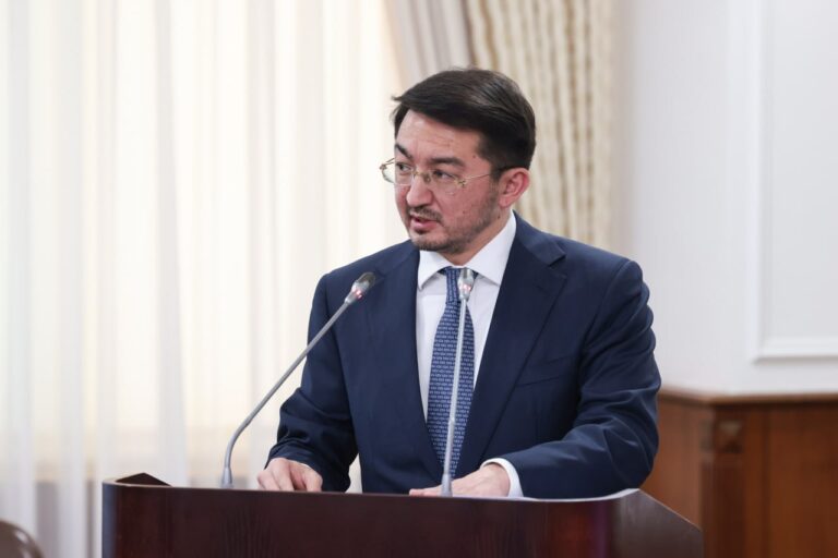 К 2027 году все жители Казахстана получат доступ к интернету