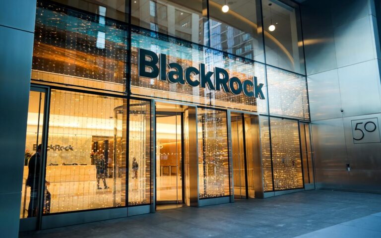 Google, Tesla, BlackRock и МВФ: куда подать заявку на стажировку осенью 2026 года